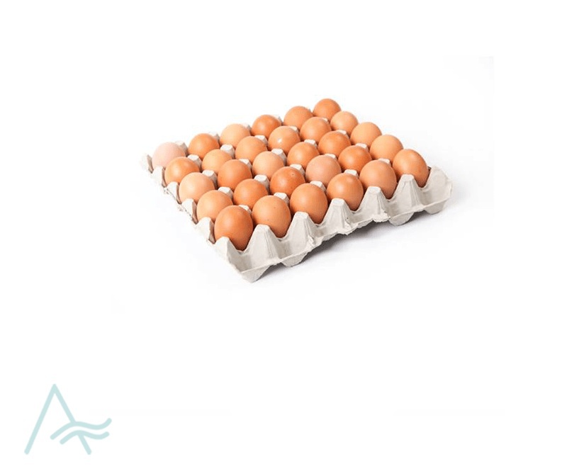 HOLIFYFIELD 30 FAMILY PACK EGGS